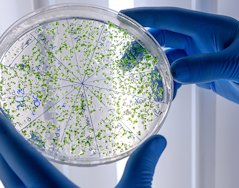 Biologia Parasitária